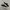 Converse One Star OX Suede Black White Second Original photo 1