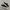 Converse One Star OX Suede Black White Second Original