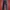 MANGO Black-Red Squared Flare Pants photo 1