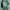 Ed Hardy Grunge Y2K T-shirt Wanita green photo 3