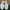 Sepatu Running Nike Air Max 97 Triple White Size 40  photo 4