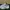 Sepatu Running Nike Air Max 97 Triple White Size 40  photo 1