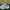 Sepatu Running Nike Air Max 97 Triple White Size 40 