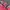 Streetwear Vintage Windbreaker Wanita pink photo 7