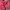 Streetwear Vintage Windbreaker Wanita pink photo 6
