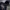 DICKIES ART 22 photo 2