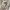 KURO Japan Slit Sleeve Linen Shirt Collared Blazer Semi Crop photo 4