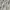KURO Japan Slit Sleeve Linen Shirt Collared Blazer Semi Crop photo 6