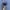 Air Jordan 4 Retro Royality Navy  photo 4