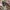 ORI Michael Kors Limited Edition Charlotte Bag photo 5