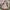 ORI Michael Kors Limited Edition Charlotte Bag photo 1