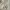 White Crinkle Textured Collared Semi Cropped Shirt See Throu photo 5
