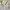 White Crinkle Textured Collared Semi Cropped Shirt See Throu photo 3