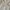 White Crinkle Textured Collared Semi Cropped Shirt See Throu photo 6