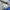 Phenix Vintage Sportswear Windbreaker Pria blue photo 8