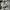 • Adidas Samba OG White Black Originals. photo 4