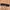 Women Belt  photo 3