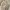Creme Ribbon Pleated Pleats Midi Skirt Rok Plisket Wanita Un photo 3