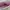 Onitsuka Tiger Patou Ballet White Pink photo 7