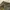 Cargo Pants Army Y2k Jorts Pants Celana Cargo Army photo 3