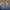 Hoodie Sesame Street Cookie Monster photo 7