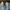 ZARA Blue Strappy Heels – Bekas Like New photo 3