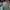 Salomon XT6 vanilla/ feather grey/ cloud rose  photo 6