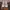 Salomon XT6 vanilla/ feather grey/ cloud rose  photo 1