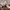 Salomon XT6 vanilla/ feather grey/ cloud rose  photo 4
