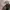 Harry Mason Leather Brown Green Tote Bag Tas Hijau Kulit photo 3