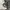 Le Pliage Xtra Hobo bag M photo 7