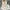 Longchamp Le Roseau XS Bucket Bag 2 look | 100% Original photo 8