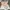 Longchamp Le Roseau XS Bucket Bag 2 look | 100% Original photo 7