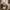 Longchamp Le Roseau XS Bucket Bag 2 look | 100% Original photo 1