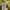 Burberry Luxury Casual Formal shirt Pria yellow photo 5