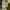 Burberry Luxury Casual Formal shirt Pria yellow photo 4