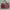 Cole Haan Leather Brick Brown Tote Shoulder Bag Tas Kulit Me photo 1
