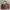 Cole Haan Leather Brick Brown Tote Shoulder Bag Tas Kulit Me
