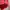 Cardigan Garis Merah Putih photo 6