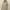 Pull and bear pacific republic pink blue stripe photo 1