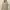 Pull And Bear Pacific Republic Pink Blue Stripe
