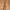 Brown Blelt Leather photo 1