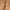Brown Blelt Leather