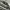 Fanpn ampliel cation stripes korean knit sweater photo 7