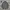 Outer Knit Jacket by DoClasse photo 1