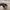 Converse Casual Sneakers Pria white black photo 6