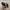 Converse Casual Sneakers Pria white black photo 4