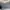 Adidas Streetwear Sportswear Sneakers Pria white black photo 7