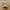 Adidas Streetwear Sportswear Sneakers Pria white black photo 3