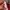ZARA Luxury Maxi dress Wanita red photo 8